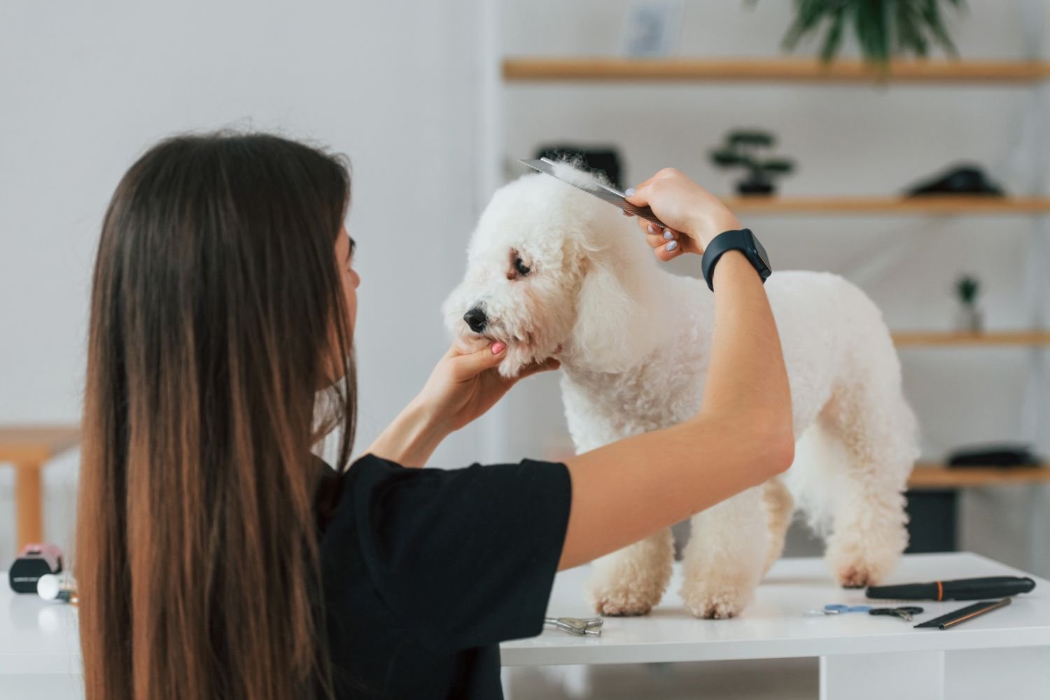Top 10 Reasons To Visit EpicPaws