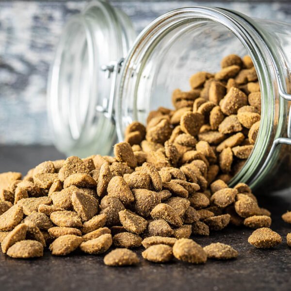 Dried Meat Dog Food