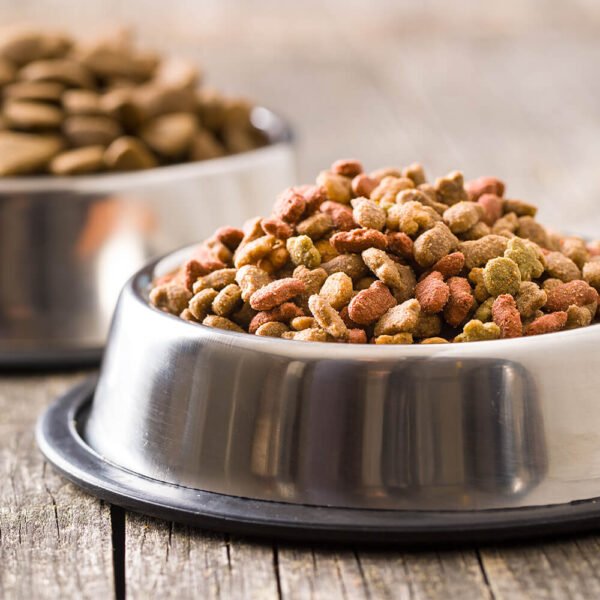Meat Based Dog Food